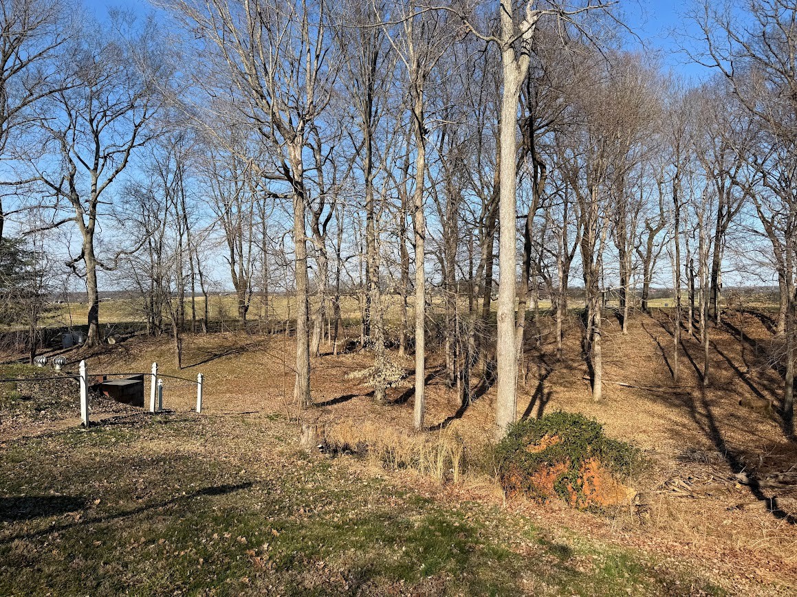 4616 Highway 76 Adams, TN 37010 - Photo 28 of 29