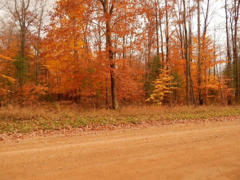 Simonelli Road Whitehall, MI 49461 - Photo 2 of 7 102914 028 (800x600)