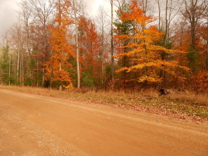 Simonelli Road Whitehall, MI 49461 - Photo 3 of 7 102914 029 (800x600)