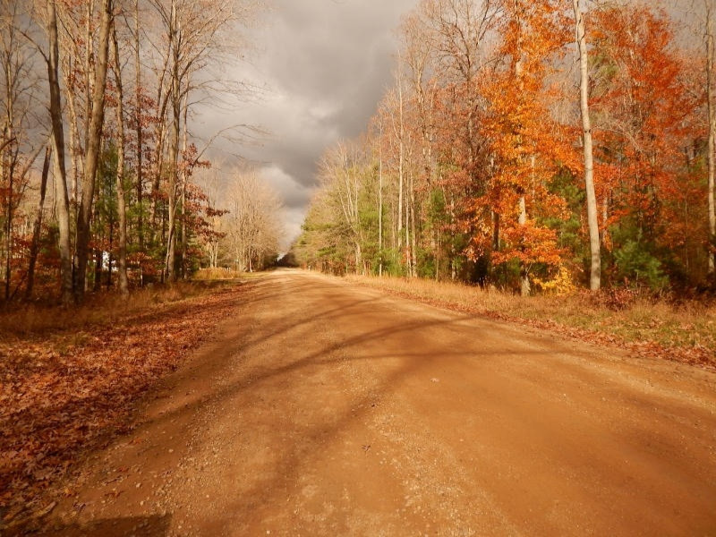 Simonelli Road Whitehall, MI 49461 - Photo 4 of 7 102914 030 (800x600)