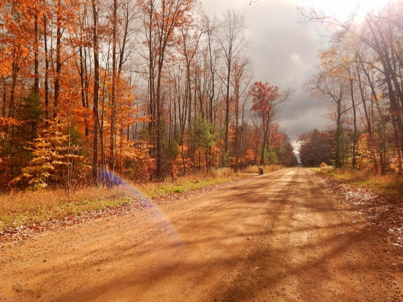 Simonelli Road Whitehall, MI 49461 - Photo 5 of 7 102914 031 (800x600)