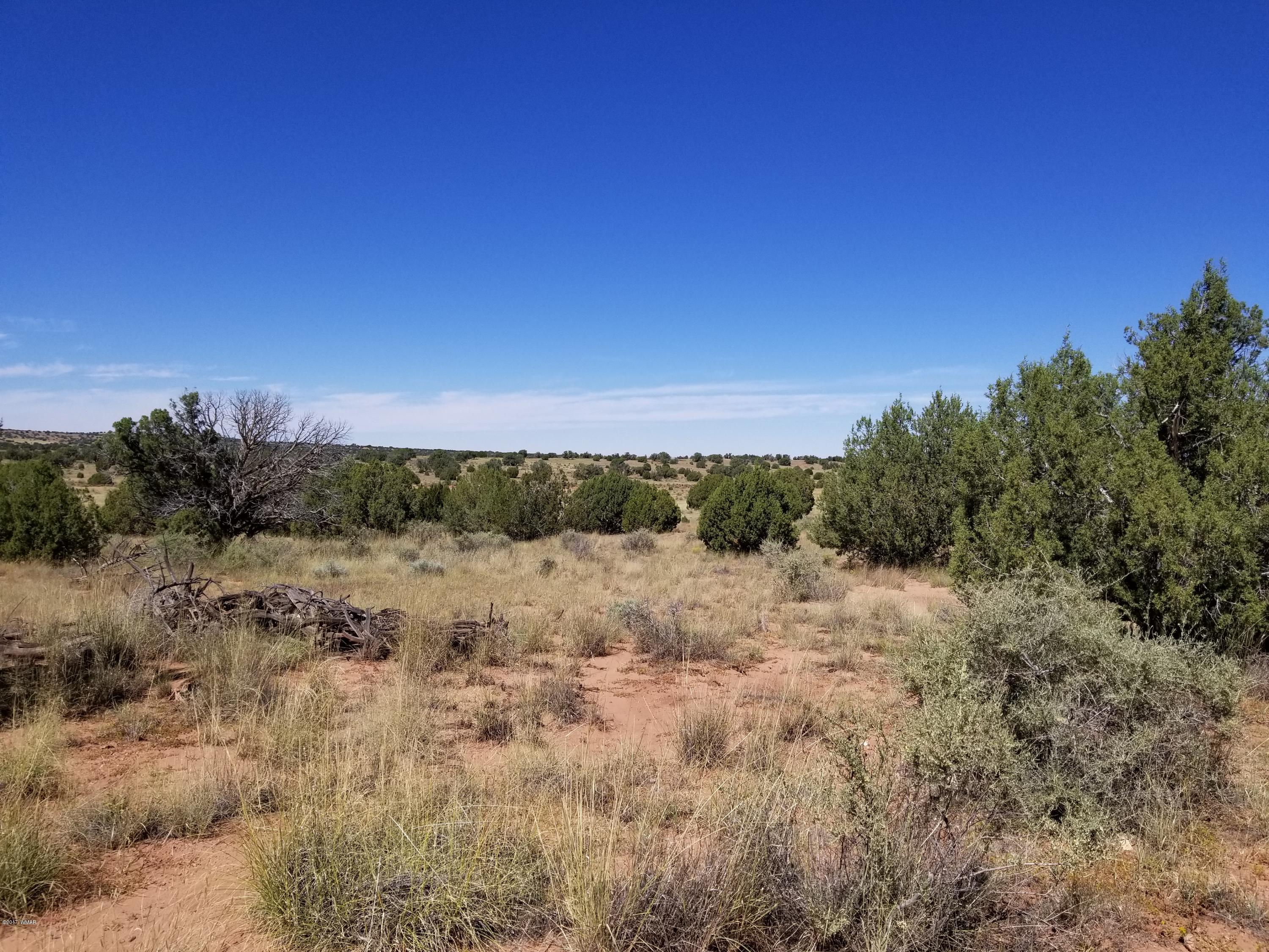 Tbd Tbd Lomas Concho, AZ 85924 - Photo 2 of 5