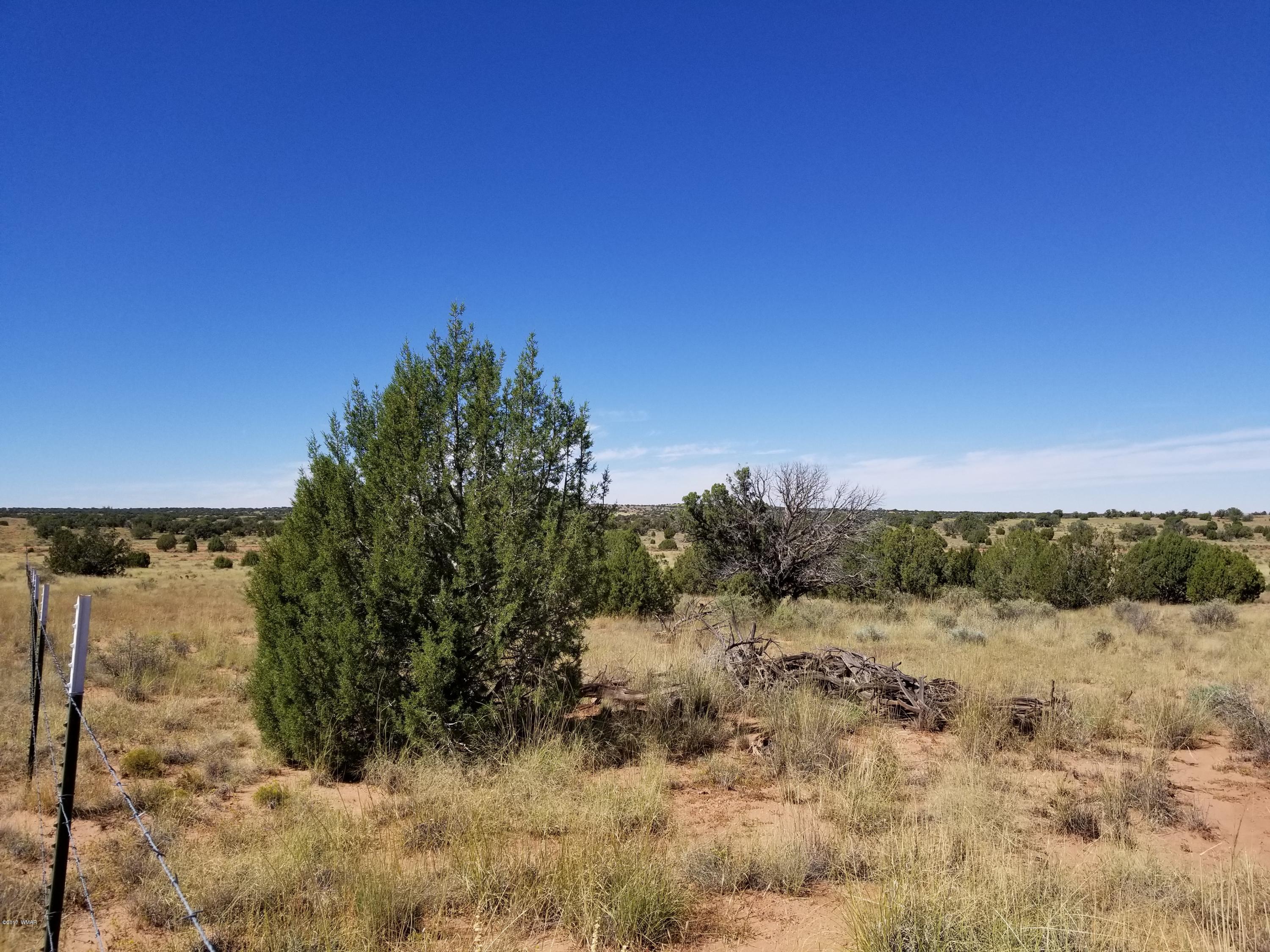 Tbd Tbd Lomas Concho, AZ 85924 - Photo 3 of 5