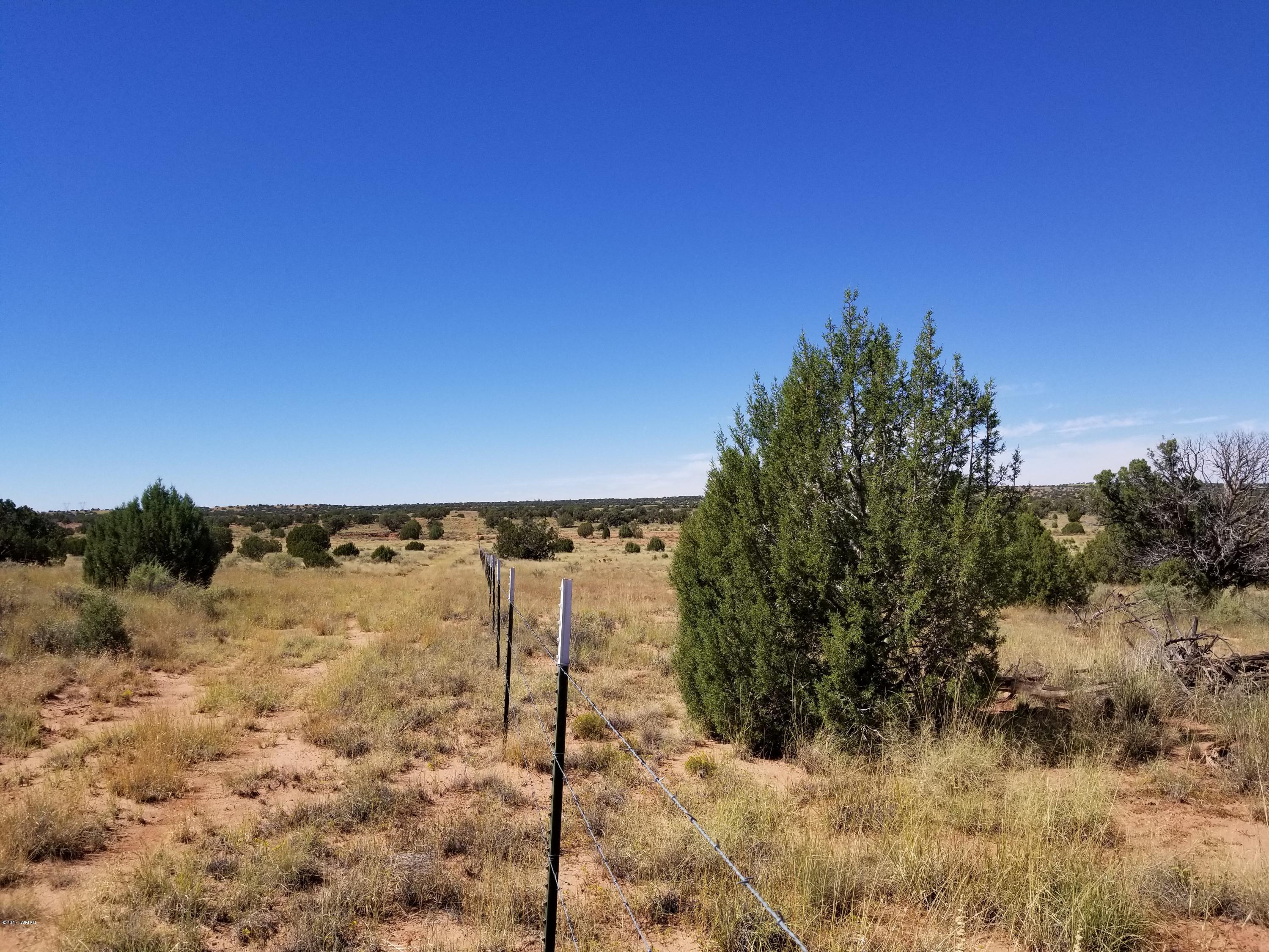 Tbd Tbd Lomas Concho, AZ 85924 - Photo 4 of 5