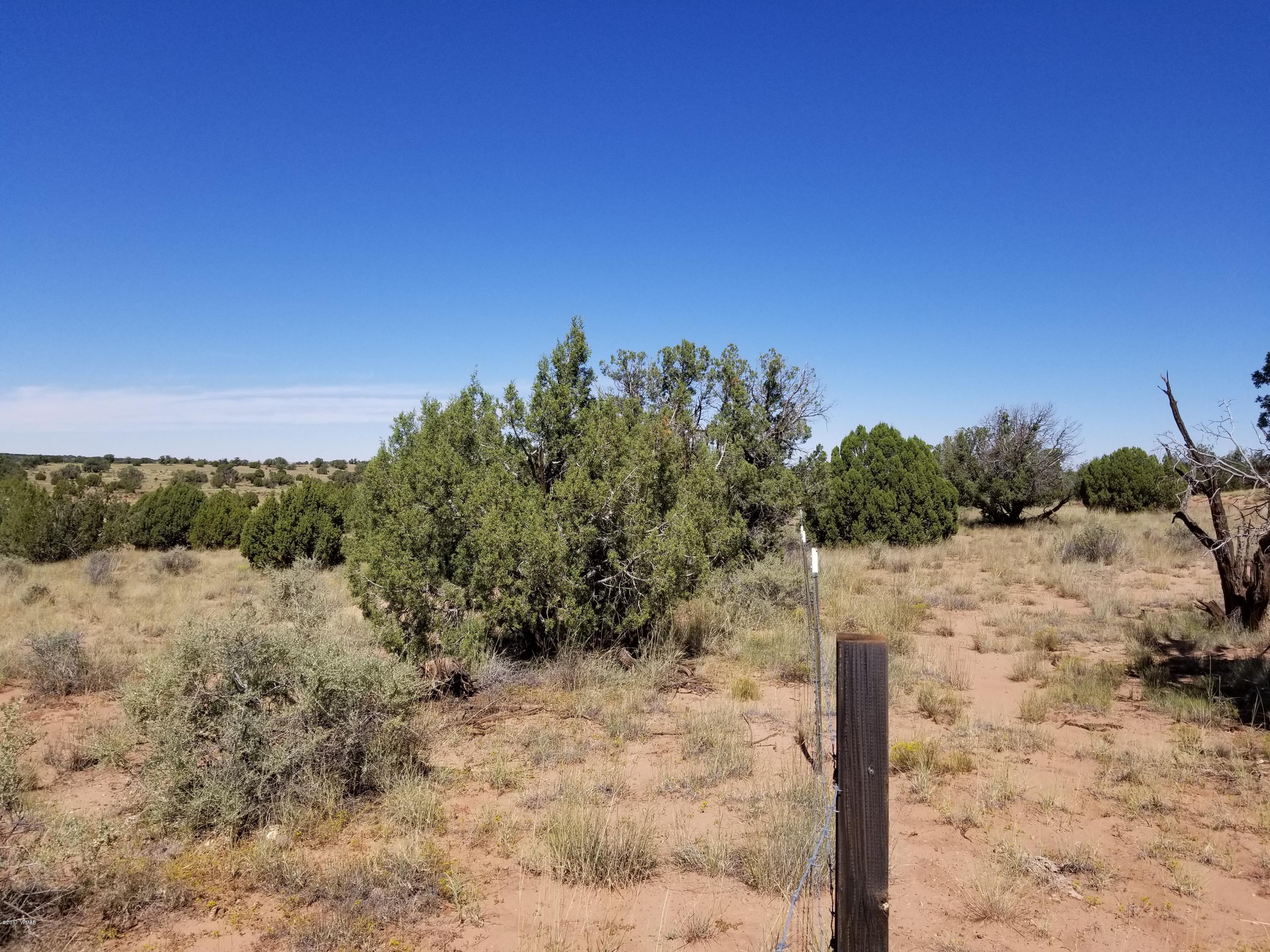 Tbd Tbd Lomas Concho, AZ 85924 - Photo 5 of 5