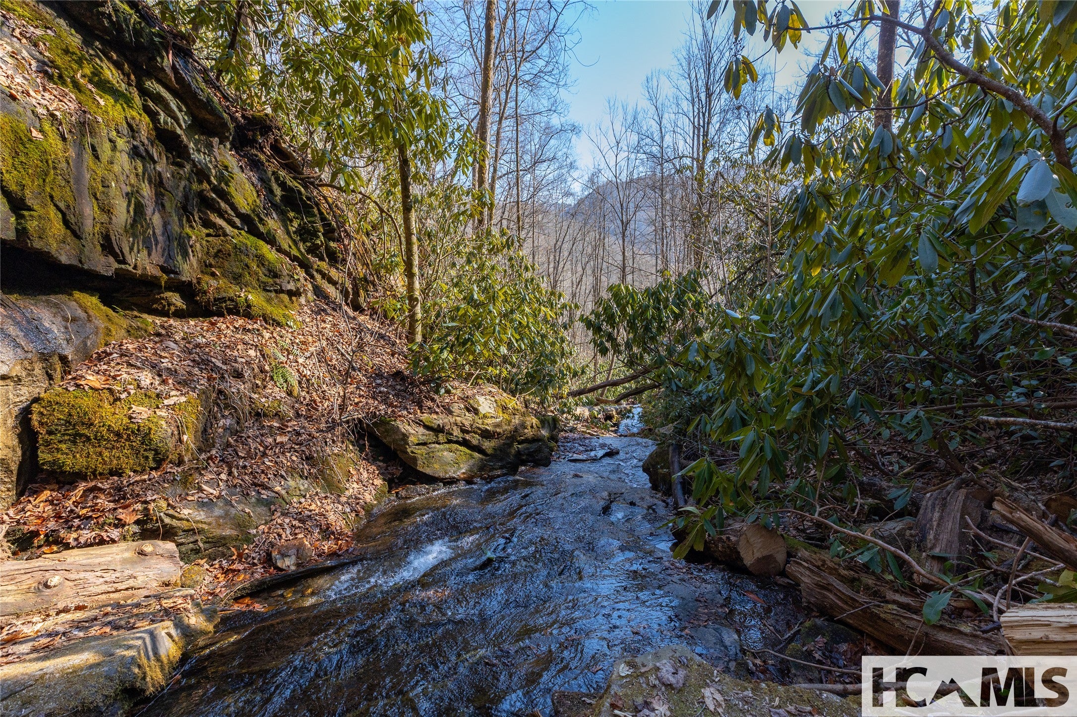53 Cullowhee Forest Road Cullowhee, NC 28723 - Photo 13 of 41 View downstream from on-property waterfall