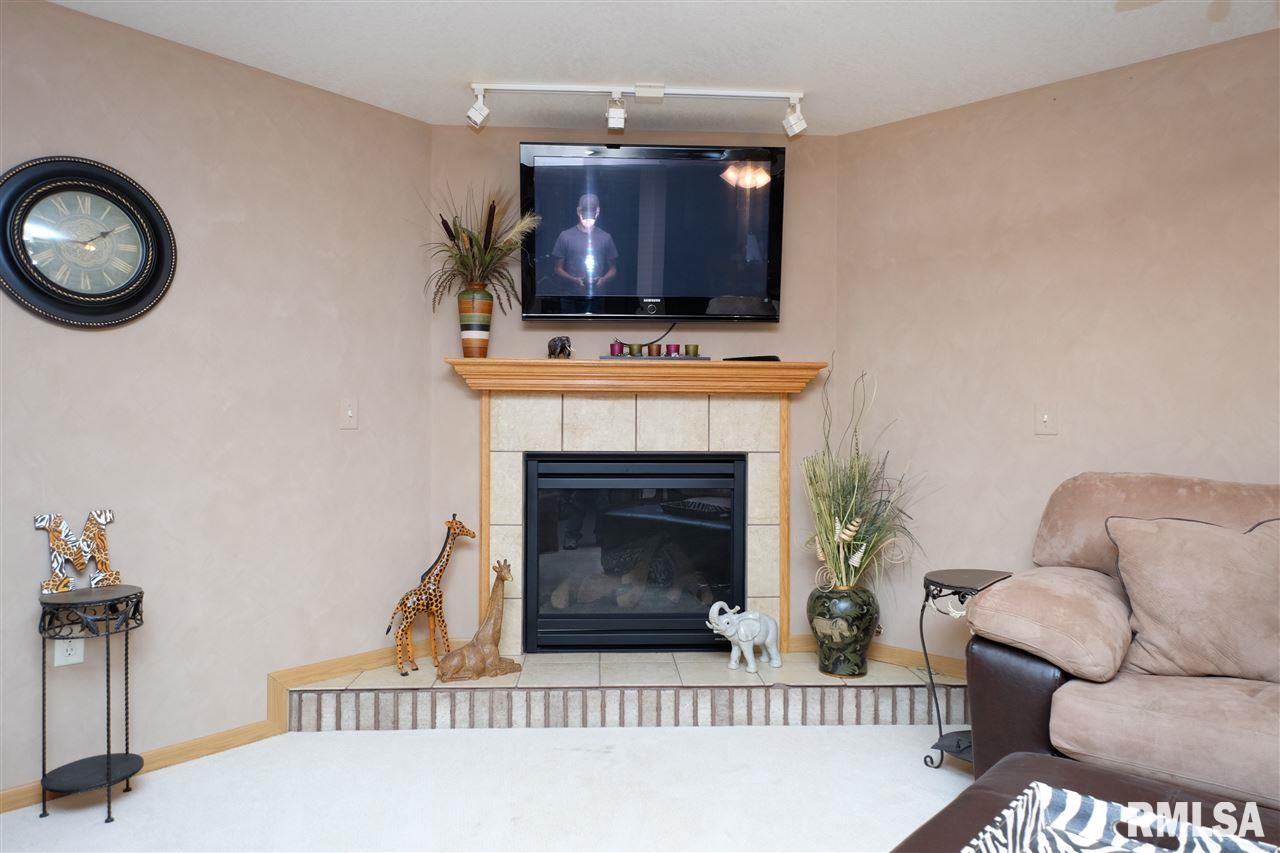 115 9th Street Lacon, IL 61540 - Photo 25 of 32 Gallery Image 25