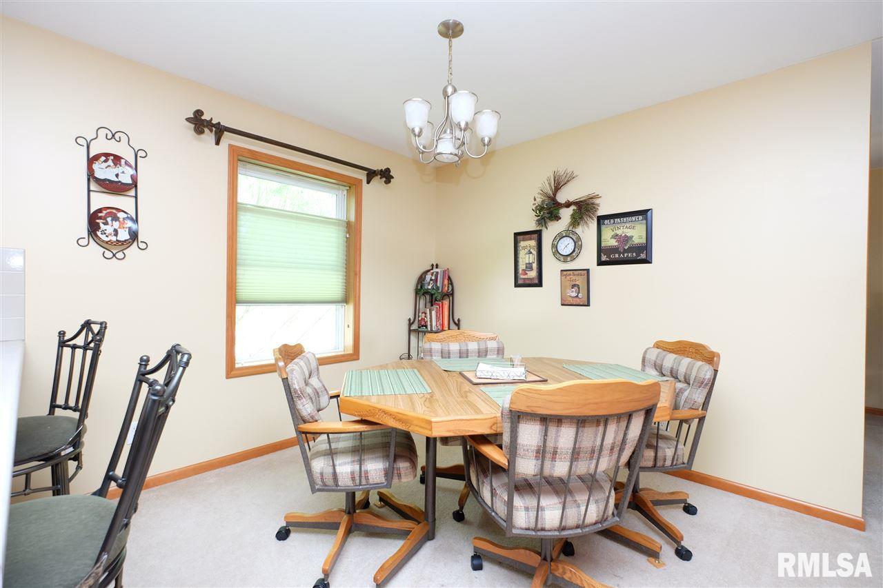 115 9th Street Lacon, IL 61540 - Photo 7 of 32 Gallery Image 7