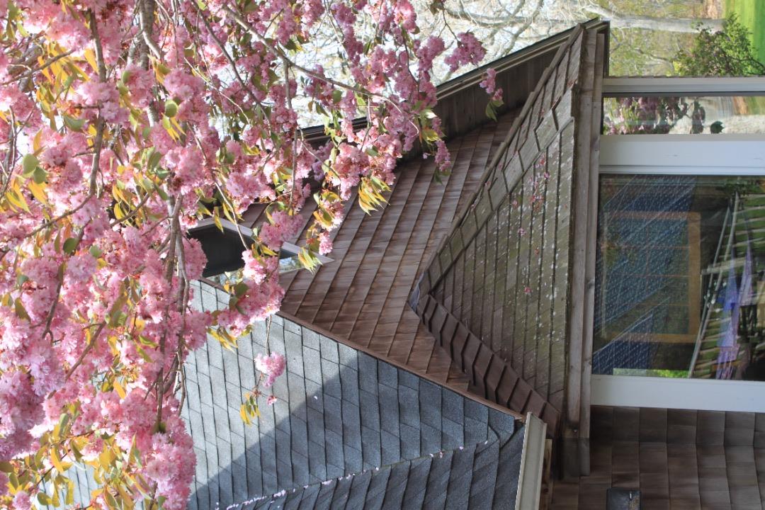 2 Old Pocha Road Edgartown, MA 02539 - Photo 6 of 30