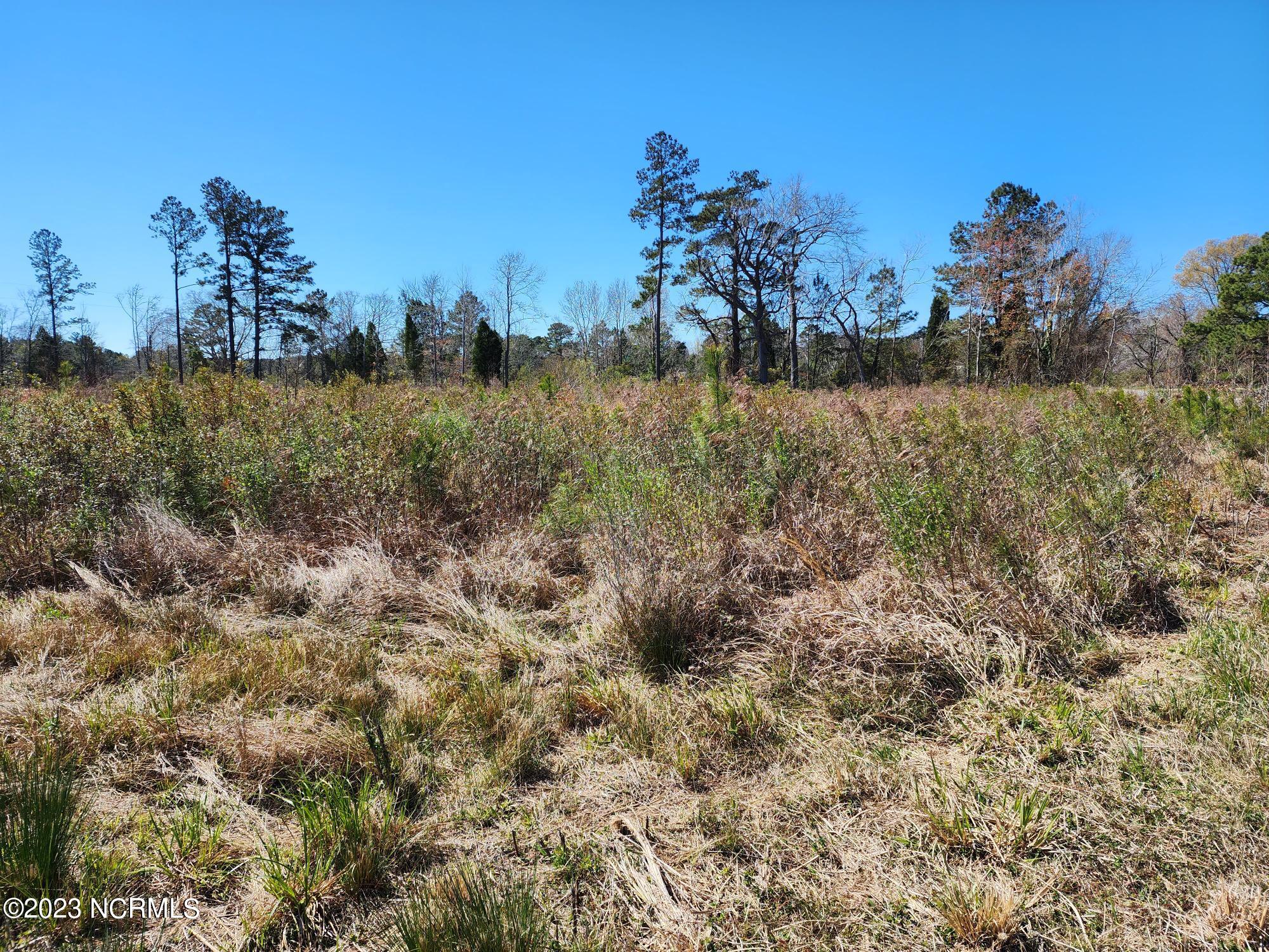 6388 Kelly Road Bath, NC 27808 - Photo 2 of 6 20230315_124410