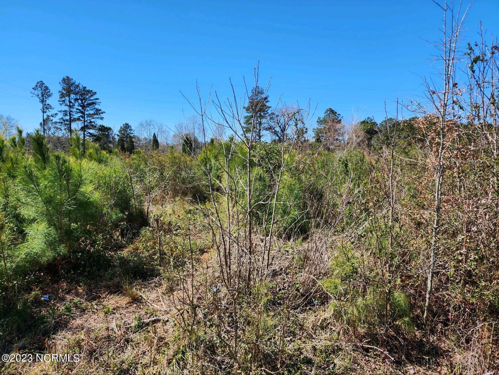 6388 Kelly Road Bath, NC 27808 - Photo 5 of 6 7428