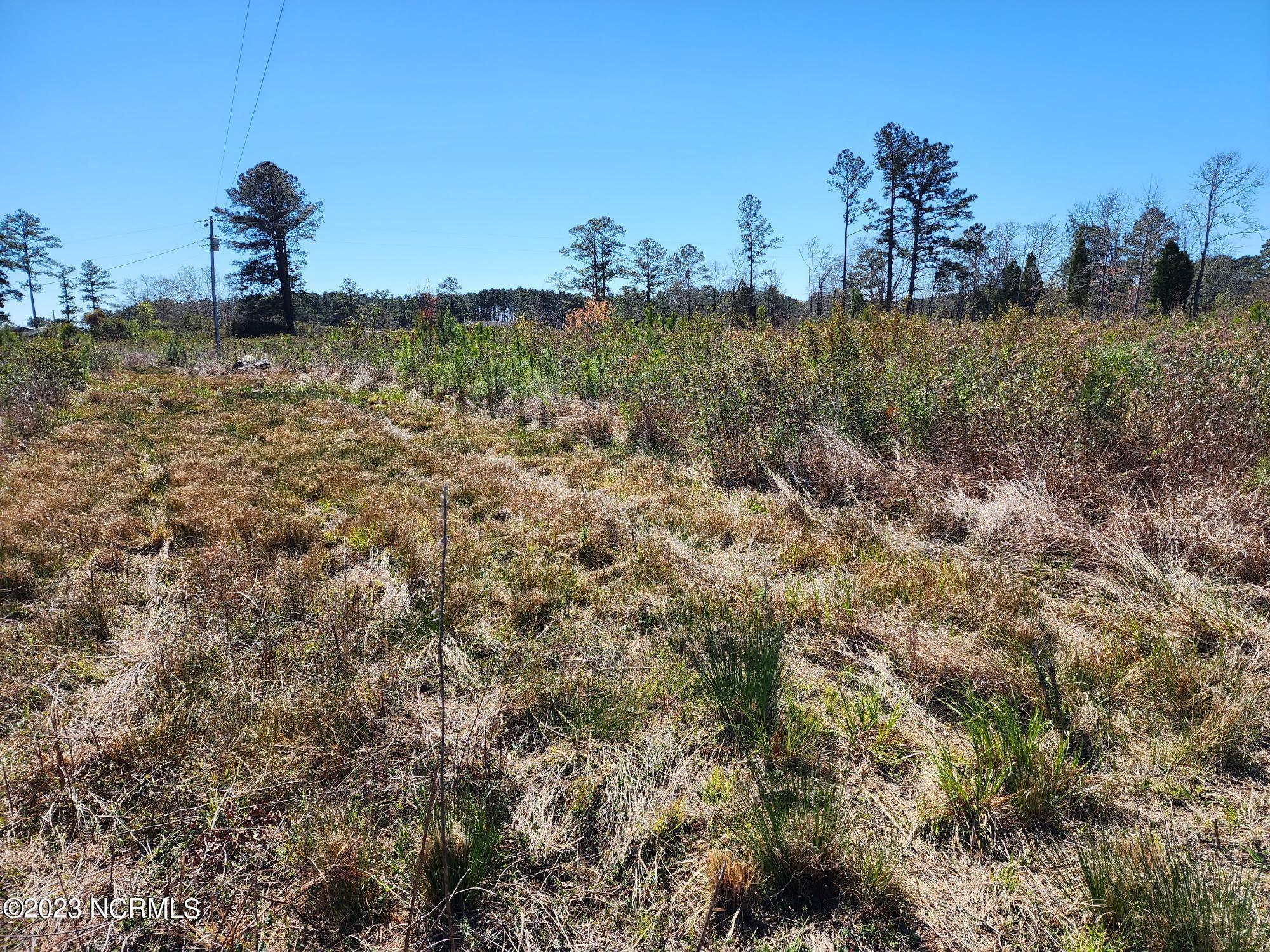 6388 Kelly Road Bath, NC 27808 - Photo 6 of 6 20230315_124415