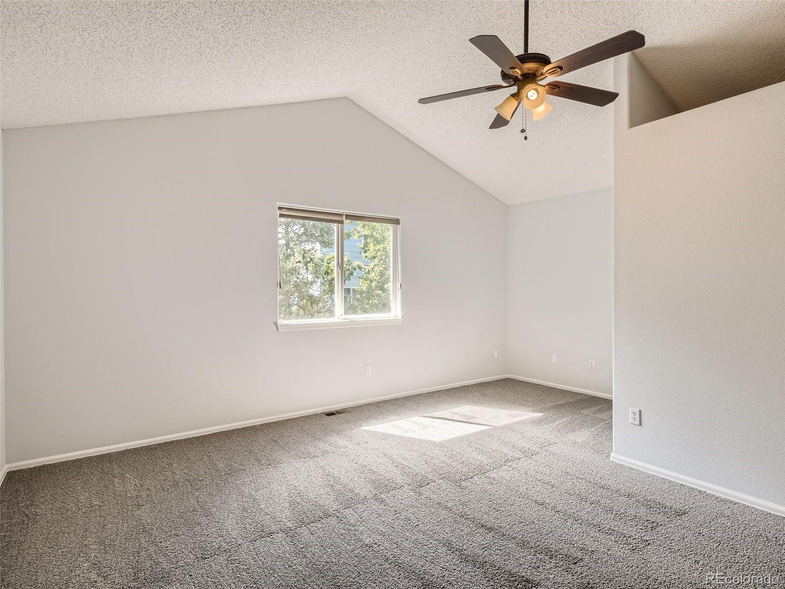 10459 Holly Hock Court Highlands Ranch, CO 80129 - Photo 14 of 33