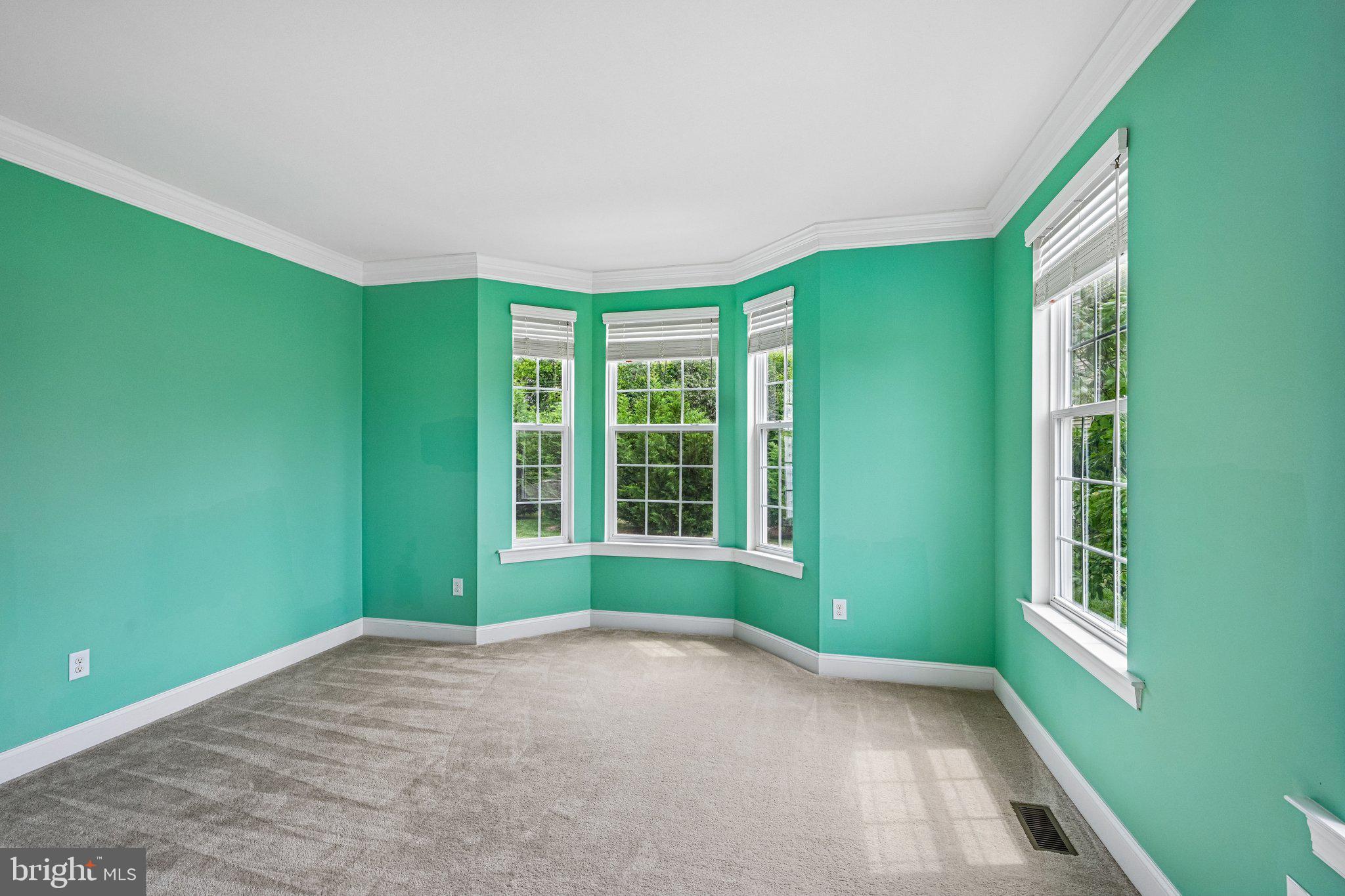 440 Elizabeth Way Hatfield, PA 19440 - Photo 10 of 60 Vibrant green walls invite tranquility.