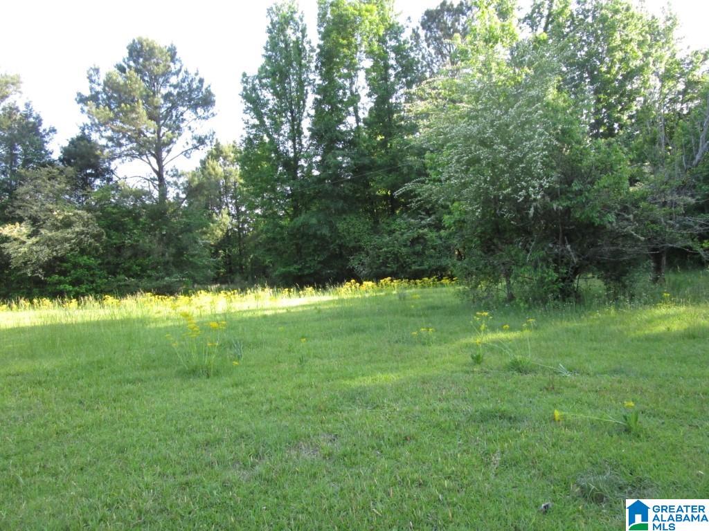 4956 Kings Mill Road Oakman, AL 35579 - Photo 27 of 27