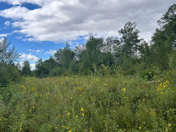 $874,000 | Tbd Duncan Road, Sandstone, MN 55072