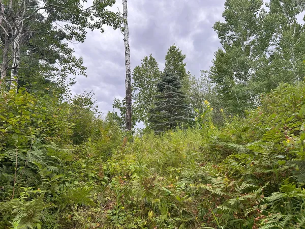 $874,000 | Tbd Duncan Road, Sandstone, MN 55072