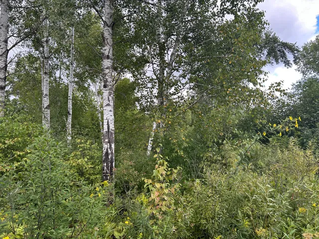 $874,000 | Tbd Duncan Road, Sandstone, MN 55072