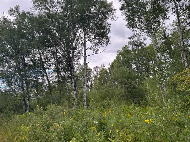 $874,000 | Tbd Duncan Road, Sandstone, MN 55072