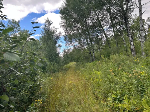 $874,000 | Tbd Duncan Road, Sandstone, MN 55072