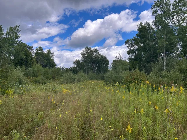 $874,000 | Tbd Duncan Road, Sandstone, MN 55072