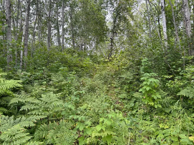 $874,000 | Tbd Duncan Road, Sandstone, MN 55072