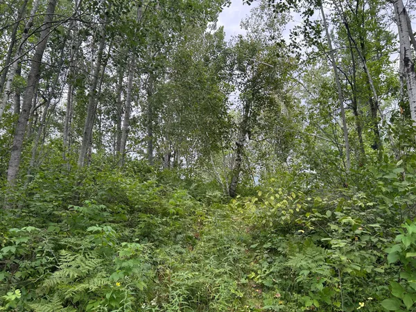 $874,000 | Tbd Duncan Road, Sandstone, MN 55072