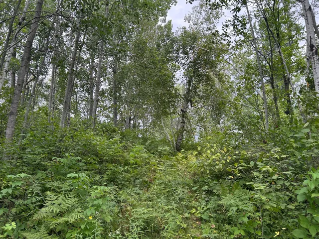 $874,000 | Tbd Duncan Road, Sandstone, MN 55072