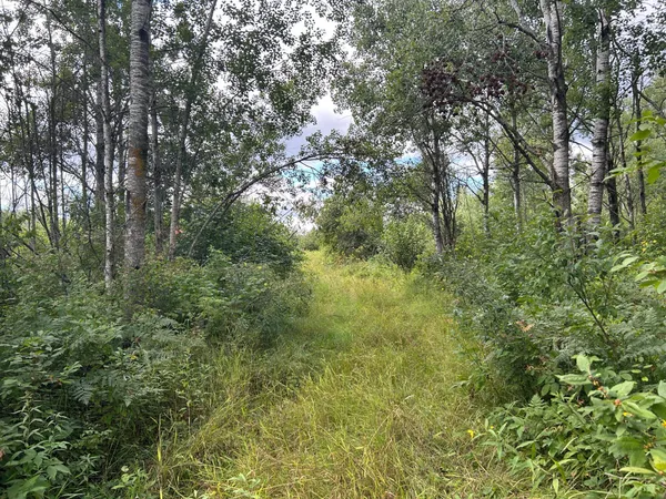 $874,000 | Tbd Duncan Road, Sandstone, MN 55072