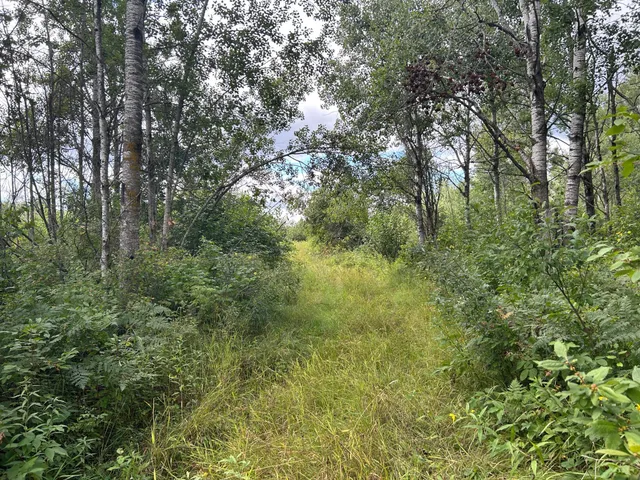 $874,000 | Tbd Duncan Road, Sandstone, MN 55072