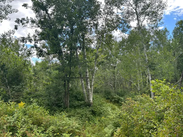 $874,000 | Tbd Duncan Road, Sandstone, MN 55072