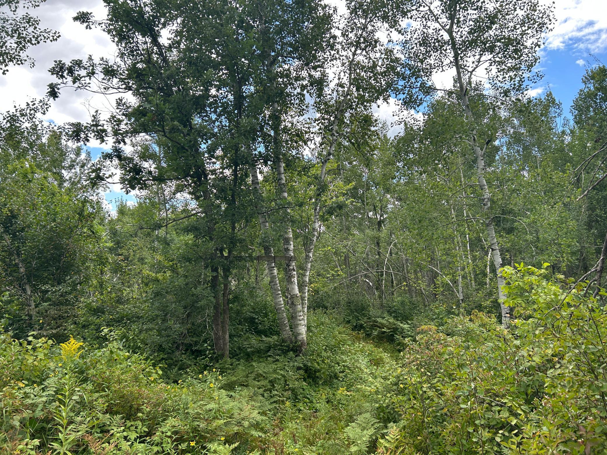 Tbd Duncan Road Sandstone, MN 55072 - Photo 21 of 35