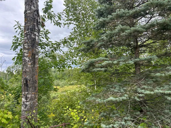 $874,000 | Tbd Duncan Road, Sandstone, MN 55072