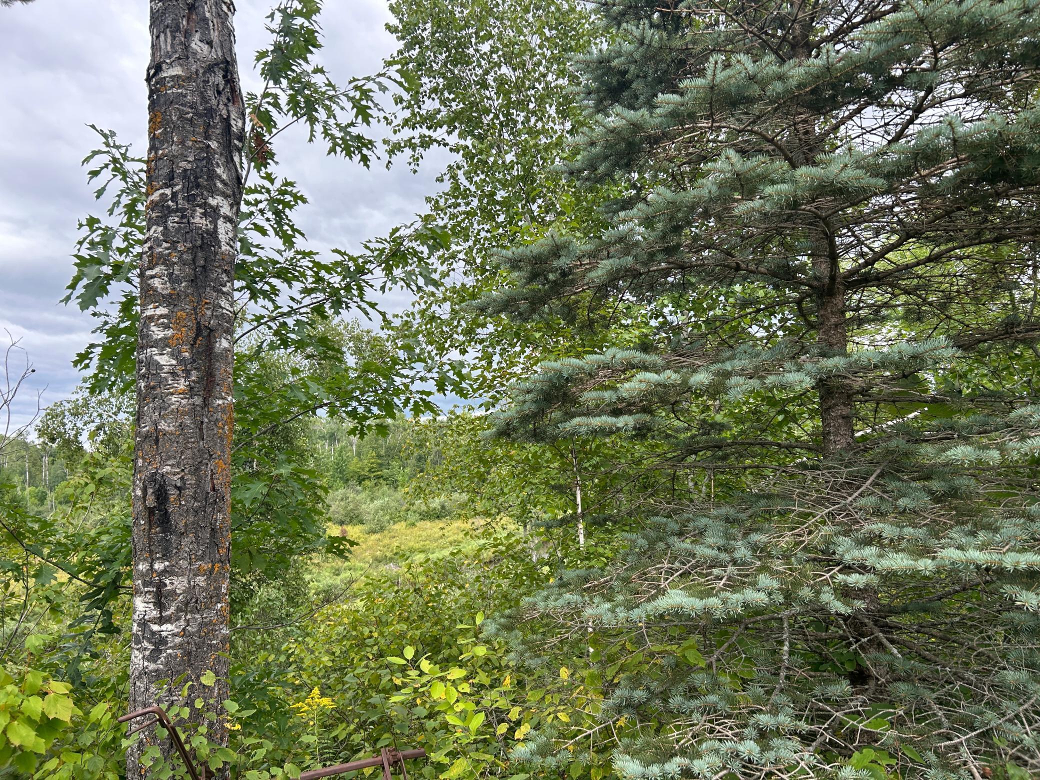 Tbd Duncan Road Sandstone, MN 55072 - Photo 24 of 35