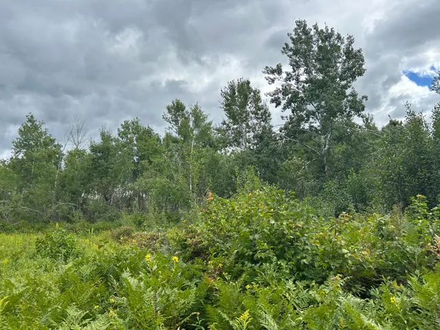 $874,000 | Tbd Duncan Road, Sandstone, MN 55072