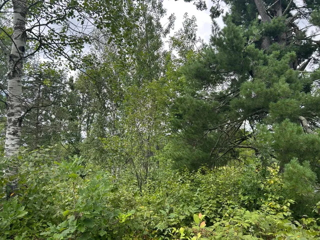 $874,000 | Tbd Duncan Road, Sandstone, MN 55072