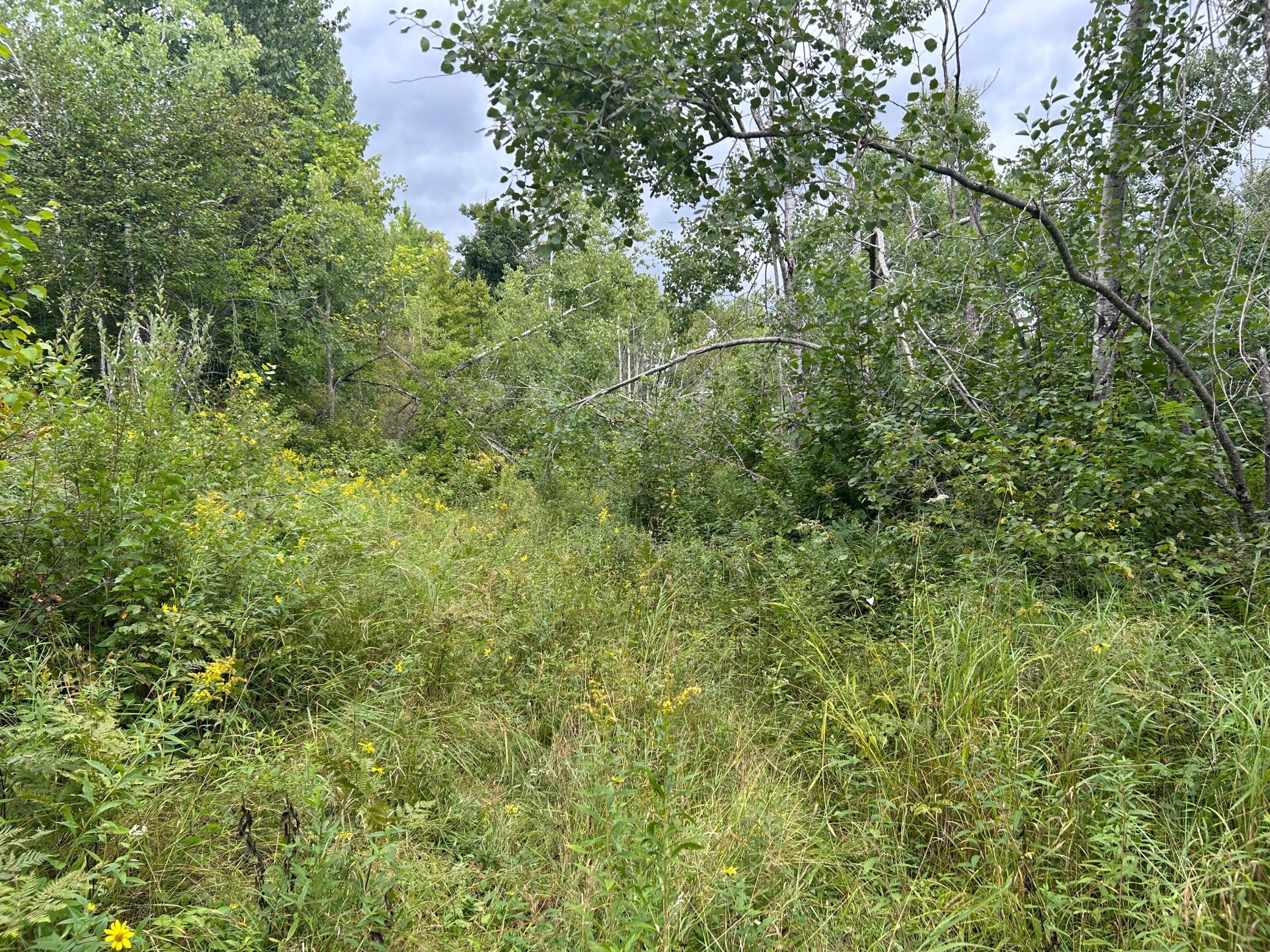 Tbd Duncan Road Sandstone, MN 55072 - Photo 27 of 35