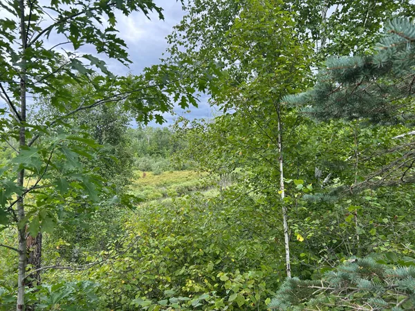 $874,000 | Tbd Duncan Road, Sandstone, MN 55072