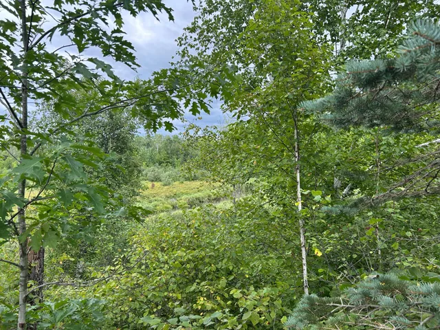 $874,000 | Tbd Duncan Road, Sandstone, MN 55072