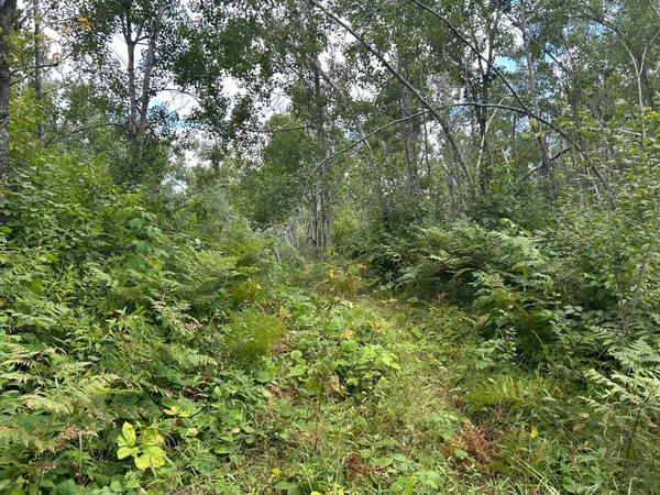 $874,000 | Tbd Duncan Road, Sandstone, MN 55072