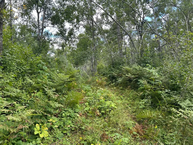 $874,000 | Tbd Duncan Road, Sandstone, MN 55072