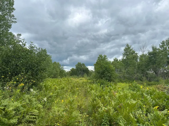 $874,000 | Tbd Duncan Road, Sandstone, MN 55072