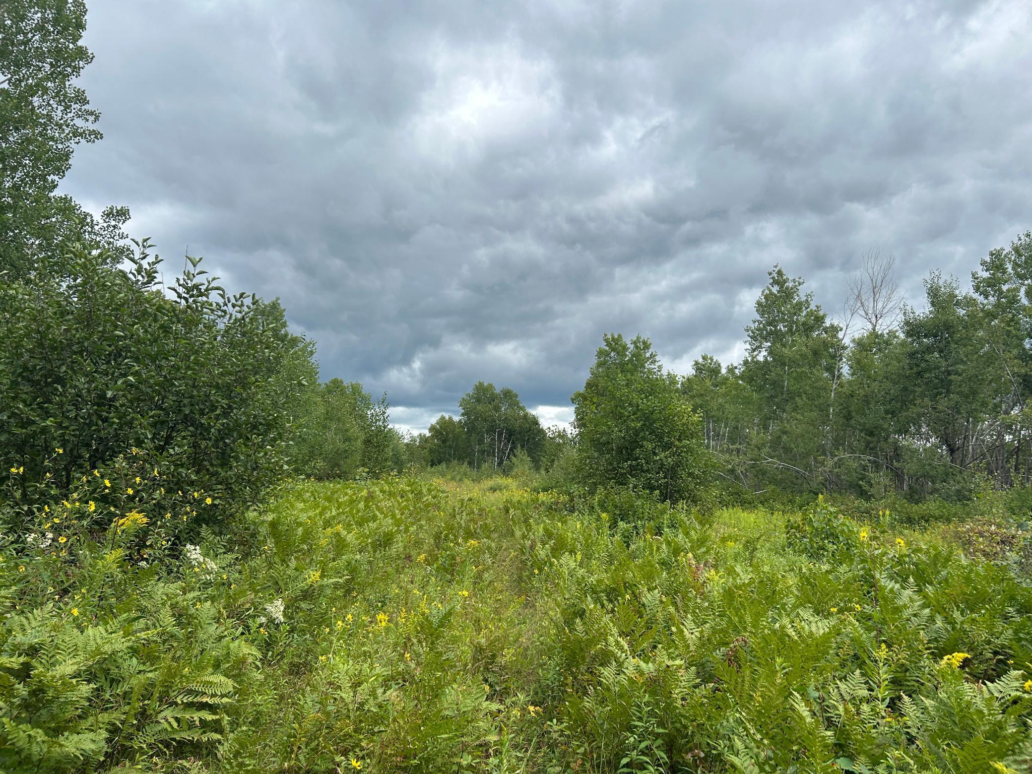 Tbd Duncan Road Sandstone, MN 55072 - Photo 33 of 35