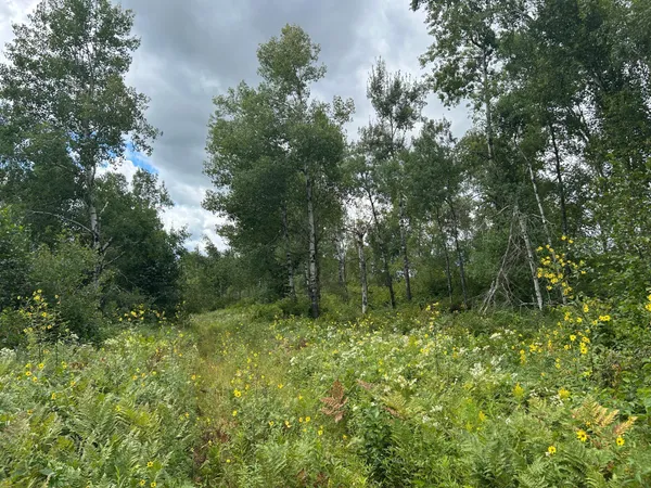 $874,000 | Tbd Duncan Road, Sandstone, MN 55072