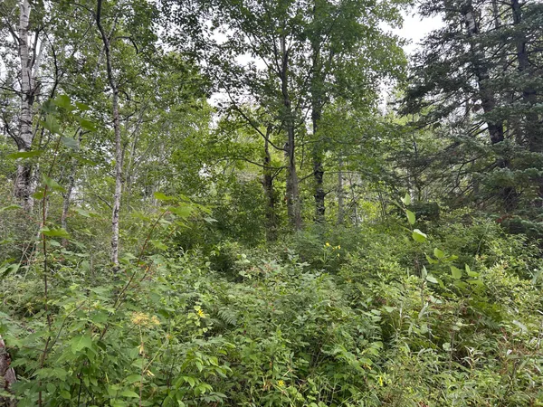 $874,000 | Tbd Duncan Road, Sandstone, MN 55072