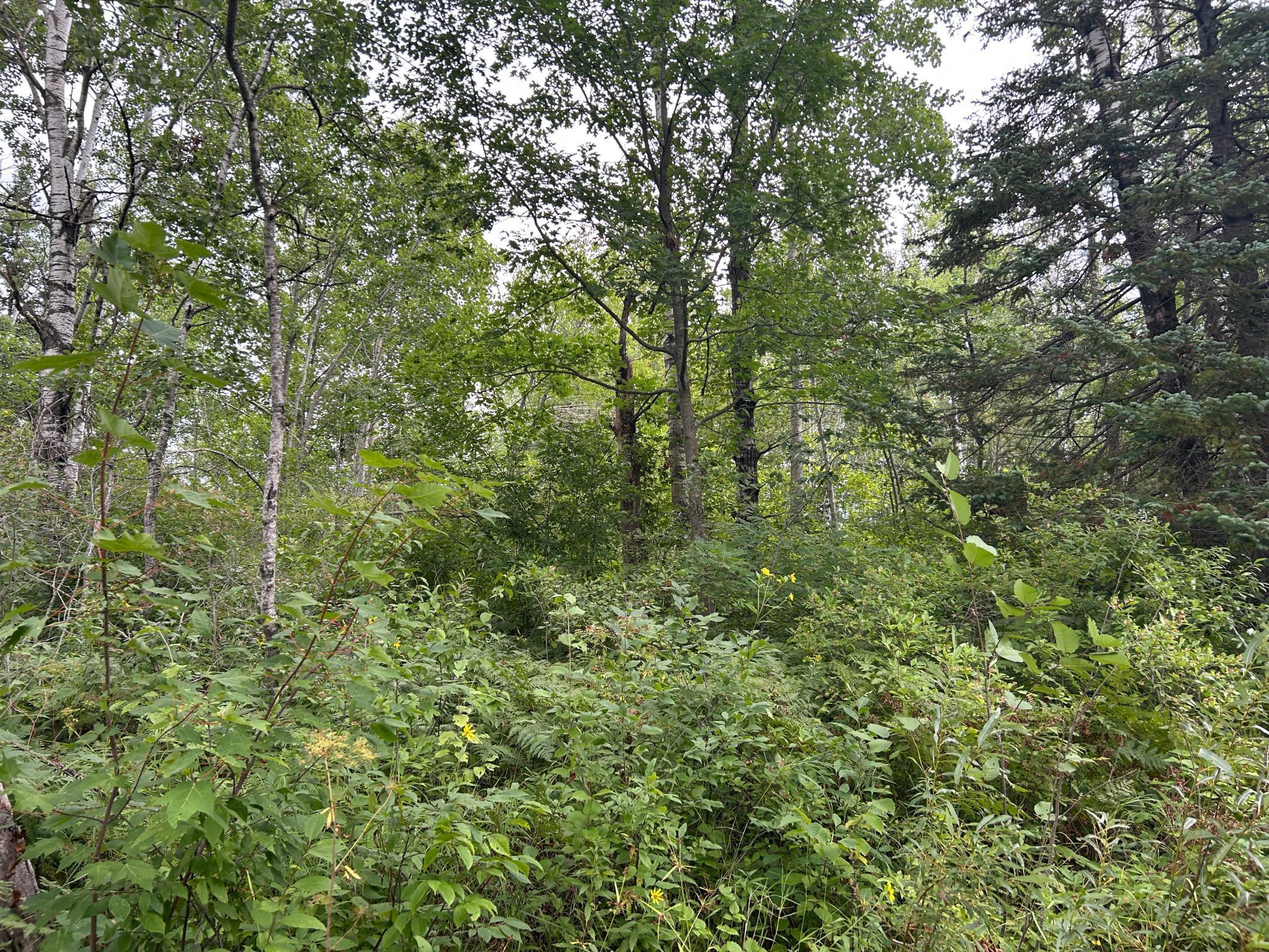 Tbd Duncan Road Sandstone, MN 55072 - Photo 35 of 35