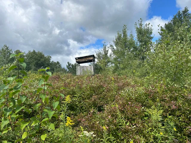 $874,000 | Tbd Duncan Road, Sandstone, MN 55072