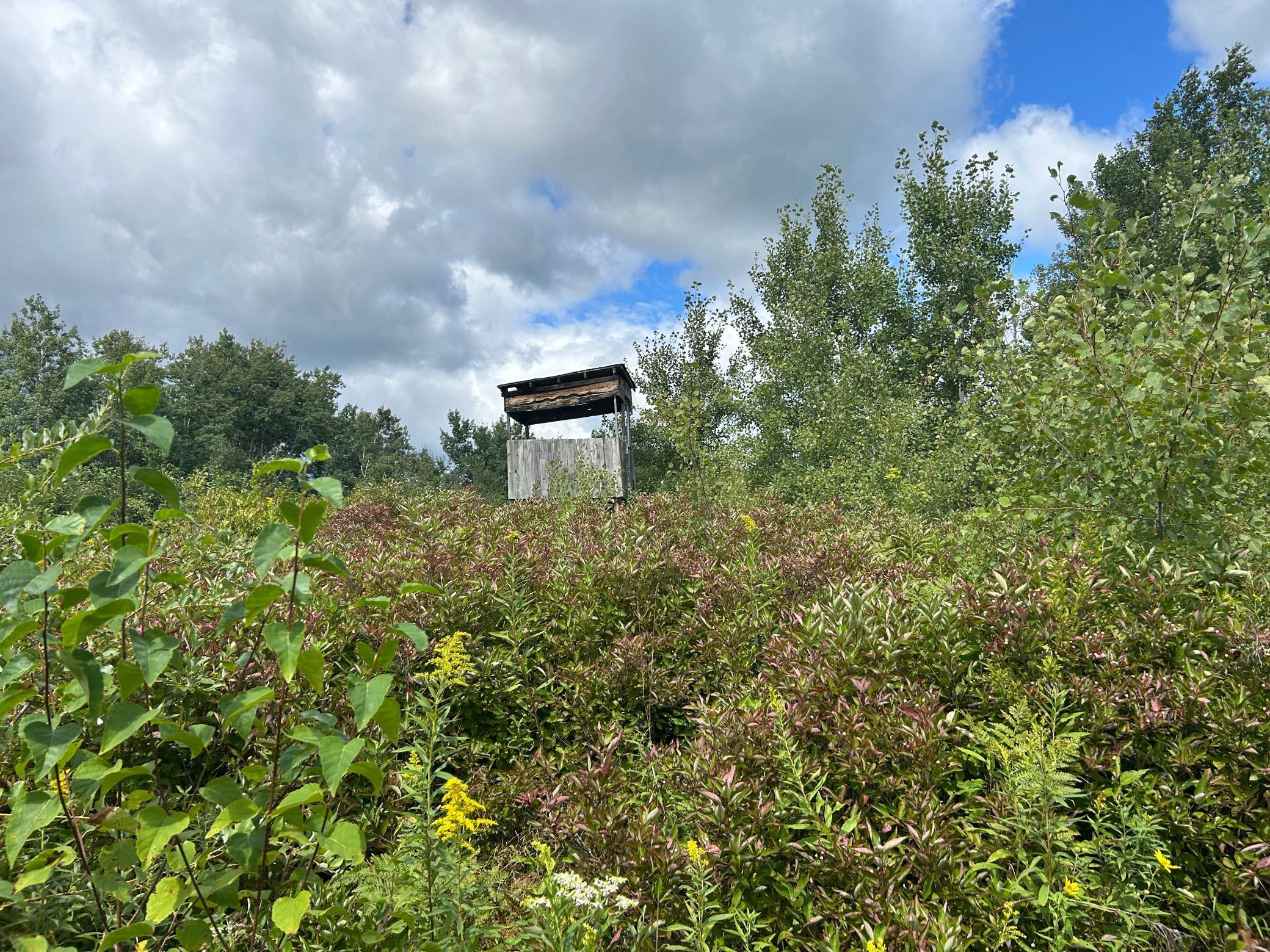 Tbd Duncan Road Sandstone, MN 55072 - Photo 9 of 35