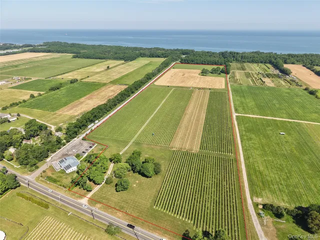 a view of a tree with a yard