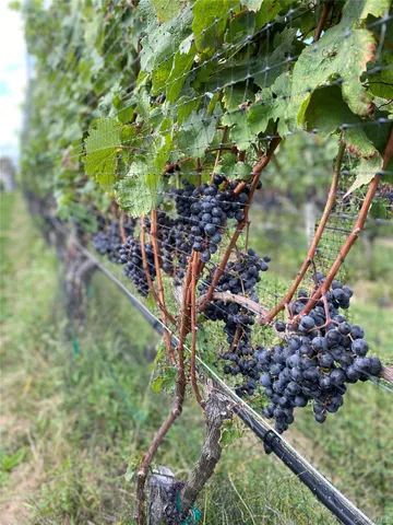 $2,200,000 | 6094 Sound Avenue, Riverhead, NY 11901